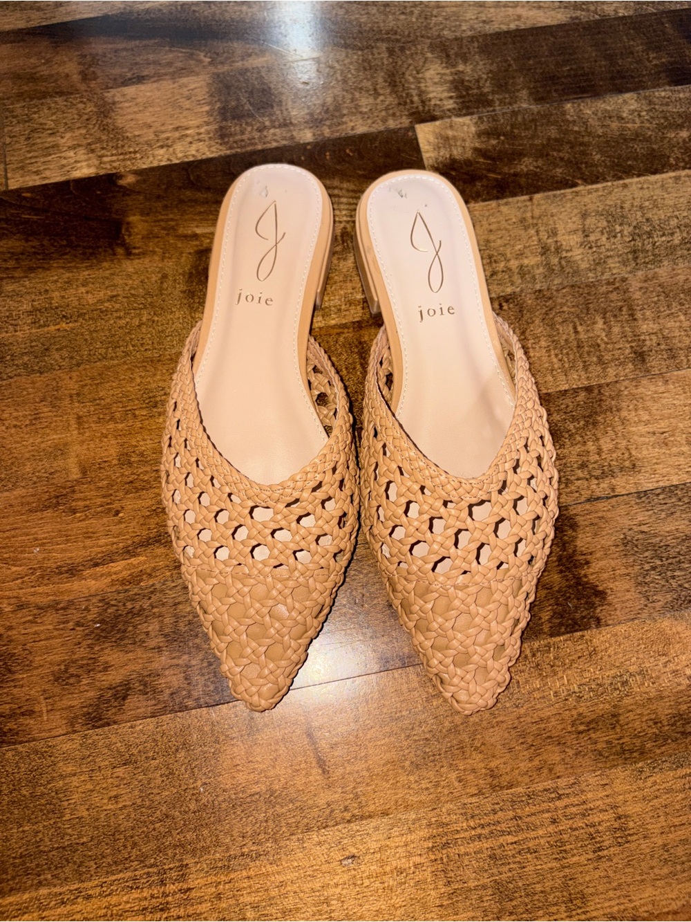 Joie Woven Pointed-Toe Mule in Tan